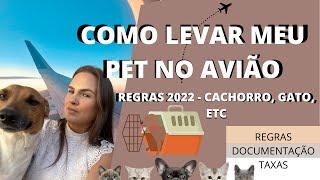 COMO VIAJAR COM O SEU PET - REGRAS 2023