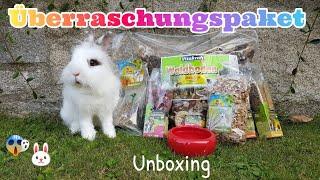 Überraschungspaket Unboxing|Bunnys Diary