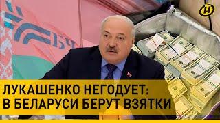 ️ КОРРУПЦИЯ В БЖД: Лукашенко выругал чиновников за огромные взятки. 3 МЛН ДОЛЛАРОВ в тайнике