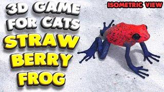 3D game for cats | The strawberry poison frog (isometric view) | 4K, 60 fps, Stereo sound