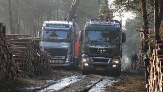 MAN Truck In Mud | Get wood in the forest | Jan van der Weide & Zn Transport | NL.