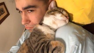 My soul is purified by the love of my cat -  Cute moments cat and human