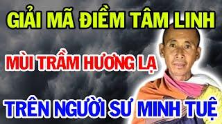 Giải Mã Bí Ẩn Mùi Trầm Hương Trên Người Sư Minh Tuệ | Vạn Điều Hay