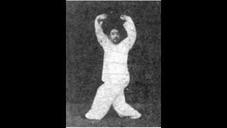 Gong Baotian Bagua 八卦 -  Mixed Demo