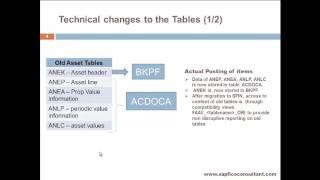 SAP SFIN Training New Asset Accounting