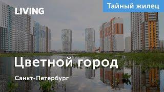 Тайный жилец о ЖК «Цветной город»: «Тишина и покой, но без инфраструктуры»