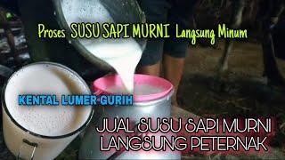 Minuman kekinian susu sapi murni segudang manfaat