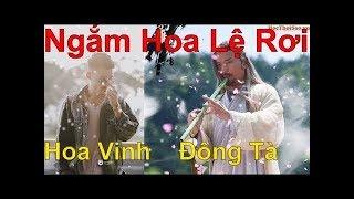 Ngắm Hoa Lệ Rơi  Hoa Vinh, Châu Khải Phong | Đông Tà Hoàng Dược Sư Remix - Master of Flute