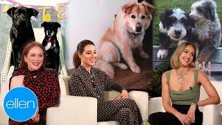 Celebrities Talking About Their Dogs for 10 More Minutes Straight