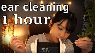 【ASMR】1 hour ear cleaning 【1hour】