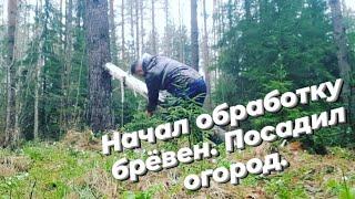 НАЧАЛ ОБРАБОТКУ БРЁВЕН ДЛЯ БАЛАГАНА ! ПОСАДИЛ ОГОРОД! ПОХОД В ЛЕС! ДИКАЯ КУХНЯ!