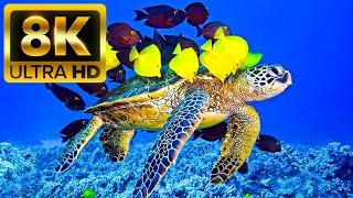 Океан - 8K (60 кадров в секунду) Ultra HD - со звуками природы (красочно динамичным)