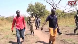 Balaalo being beaten in Gulu #Uganda. The #Rwandese come to Uganda with cattle, decimate environment