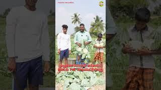 காலிஃப்ளவர் விற்பனைக்கு #vivasayaarvalargal #agriculture #shorts