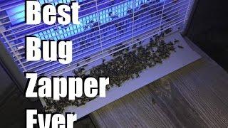 The Best Bug Zapper! - Ohuhu Bug Zapper Review