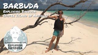 Exploring Barbuda (Sister Island of Antigua) - Caribbean