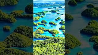 Best things to see in Palau, 