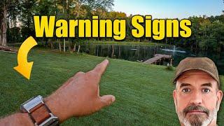 Fall Lawn Care Early Warning Signs