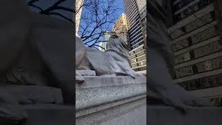 5 Facts about the NYPL Lions! | New York Public Library Lions