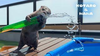 Otter Hooked on the Water Launcher!