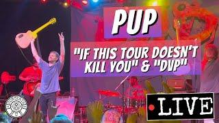 PUP "If This Tour Doesn't Kill You" and "DVP" LIVE