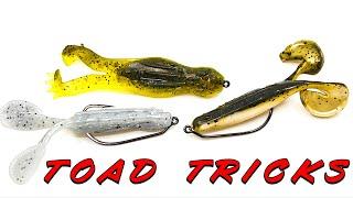 Topwater Tricks! Toad Fishing For Summer Bass!