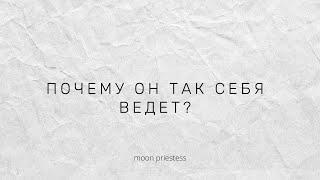 Почему он так себя ведет? Расклад на картах Таро