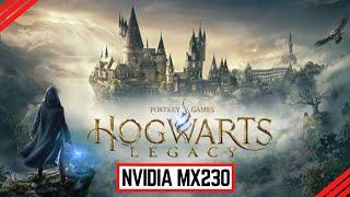 Hogwarts Legacy Optimization on Nvidia MX230