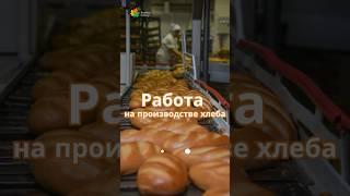 ИШ БОР, работа на производстве хлеба. Патент город. Санкт-Петербург Звоните сегодня. #ишбор #работа