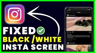 How to Fix Instagram White Screen / Black Screen Problem