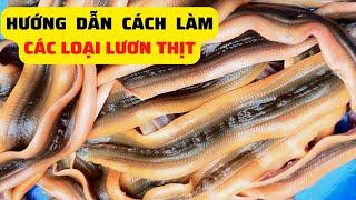 Hướng Dẫn Cách Làm Các Loại Lươn Thịt - Trại Giống Đông Sơn