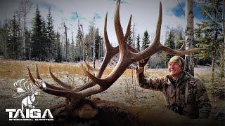 Rifle hunting Southern Alberta Trophy Elk!