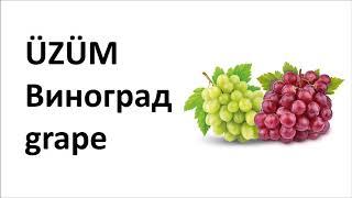 Rusça ve İngilizce Meyveler | фрукты (Fruits in Russian, English, Turkish) | #RusçaMeyveler