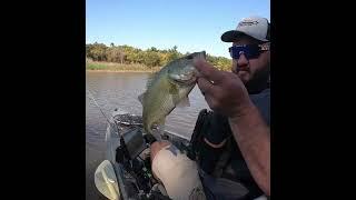 This Topwater Bite Was Insane!! #shorts #bassfishing #topwater #kayakfishing