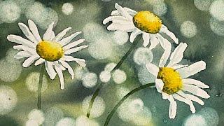 Daisies + Bokeh Background - Step by Step Watercolour Tutorial