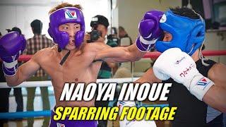 Naoya Inoue Sparring Footage