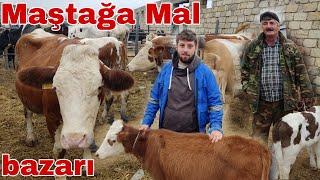 Maştağa Mal bazarı. 24,10,2021 #mastagamalbazari #mastagaqoyunbazari #mubarizemintv