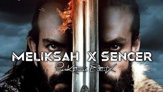 The Great Seljuk |Buyuk Selcuklu WhatsApp status | MelikSah And Sencer Attitude Wtsp Status #Shorts