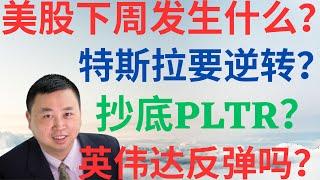 美股945|美股下周发生什么?特斯拉要逆转吗?抄底PLTR吗?英伟达要反弹吗? #tsla #nvda #pltr #美股分析 #drmikeinvest #stocks #ai