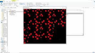 Learn how to use Fiji to analyze biology images