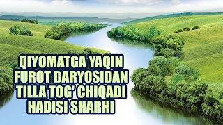 Qiyomatga yaqin Furot daryosidan tilla tog' chiqadi hadisi sharhi | Shayx Sodiq Samarqandiy
