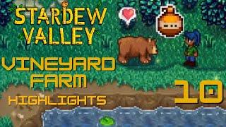 Stardew Valley Stream Highlights: Stardew Valley Vineyard Farm [P10] #stardewvalley