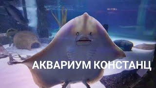 Аквариум SeaLife в Констанце, Баден-Вюрттемберг, Германия