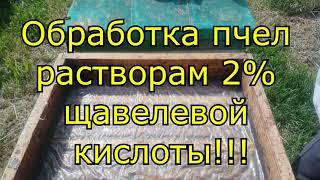 Обработка пчел растворам 2% щавелевой кислоты!!!