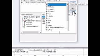 IIF FUNCTION  IN MS ACCESS QUERIES