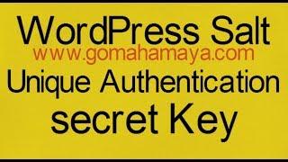 WordPress Salt And Unique Authentication secret Key