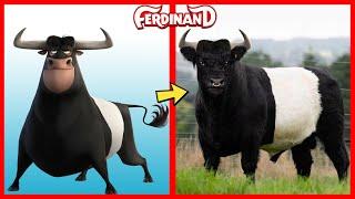  Ferdinand  Real Life  All Characters 2024