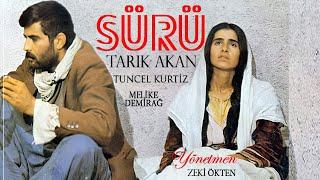 Sürü Türk Filmi | FULL | TARIK AKAN | TUNCEL KURTİZ