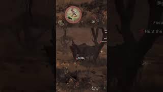 Epic Desert Hunt: Defeat the Queemarcite Monster!