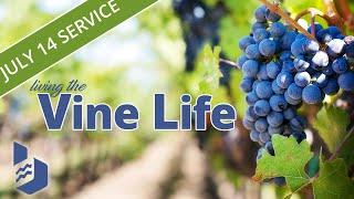 July 14 2024 - Living the Vine Life